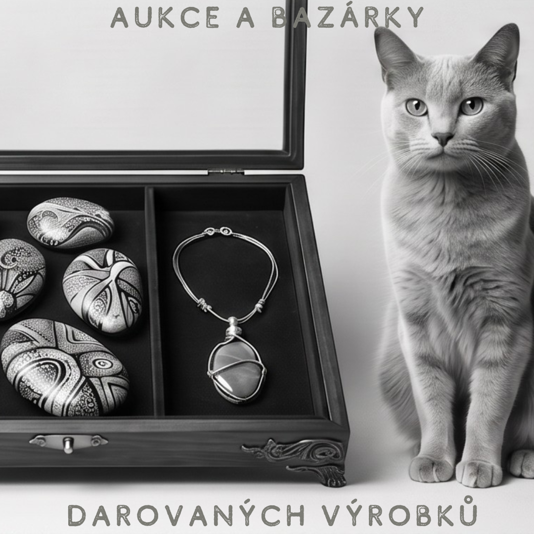 Aukce a bazárky